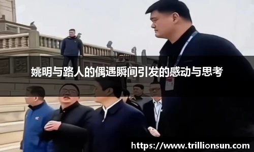 mk体育