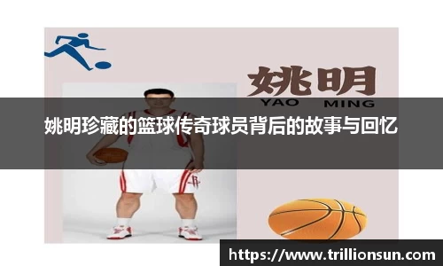 mk体育官网入口