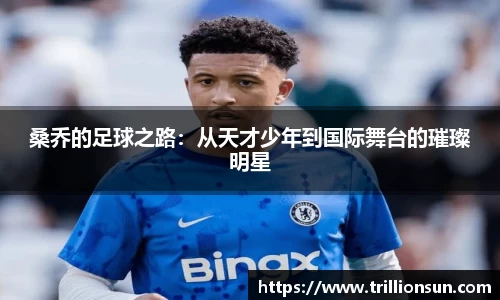 mk体育官网入口