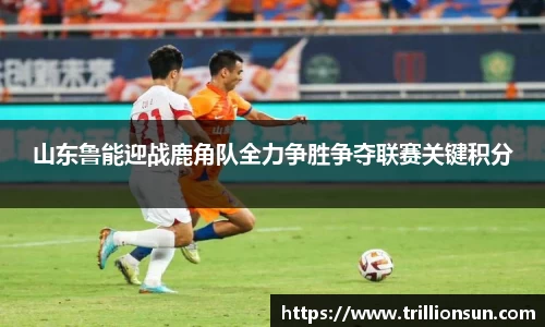 mk体育官网入口