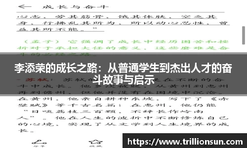 mk体育官网入口